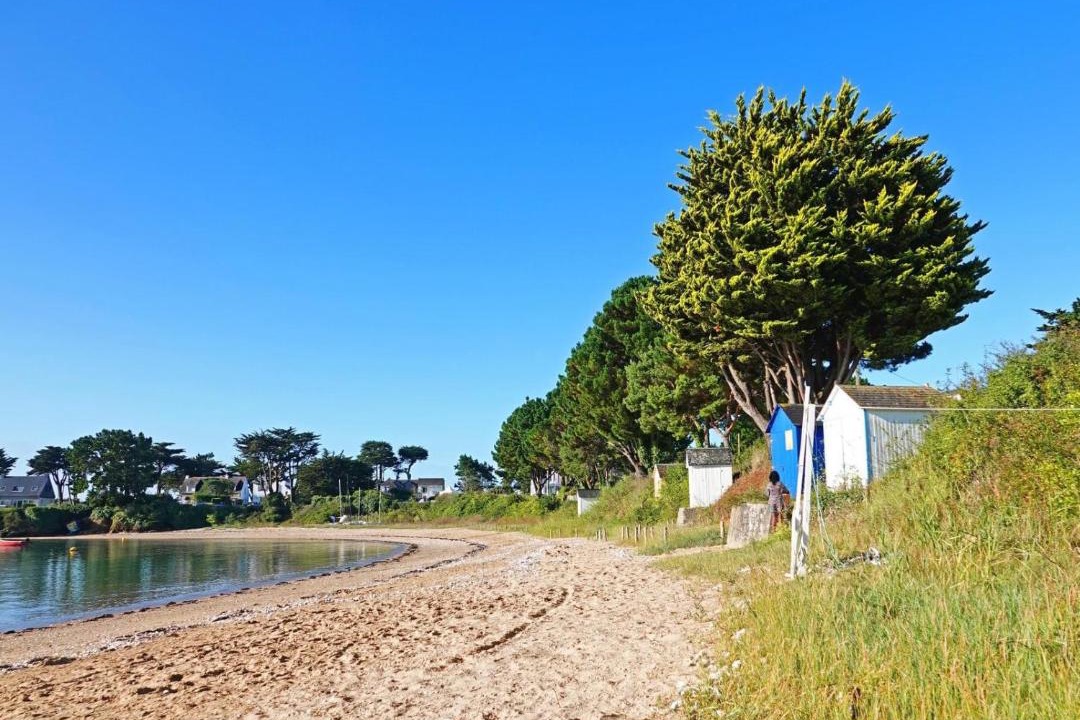 Photo of Others in Ambon