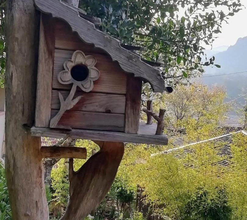 Photo of Others in Ferrieres sur Ariege