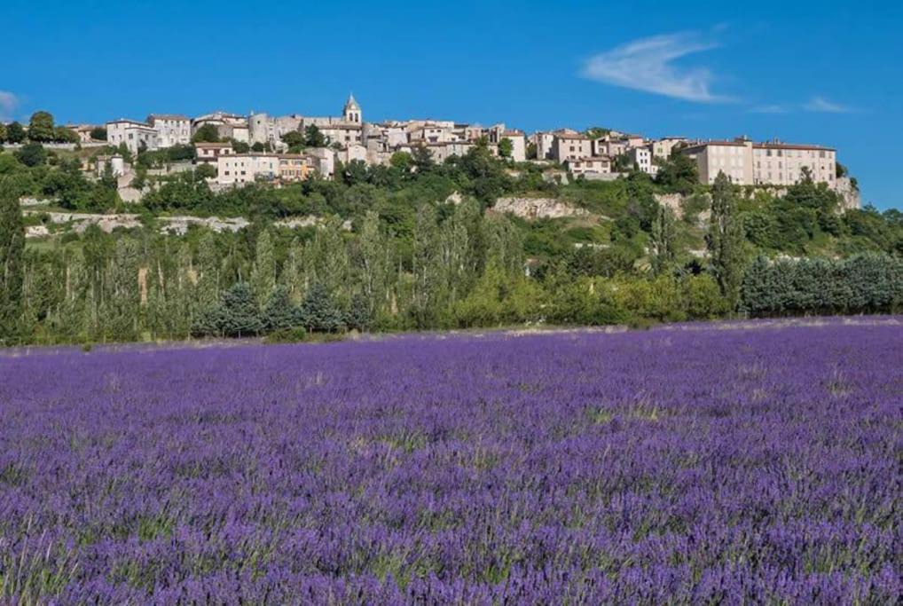 Photo of Others in Sault