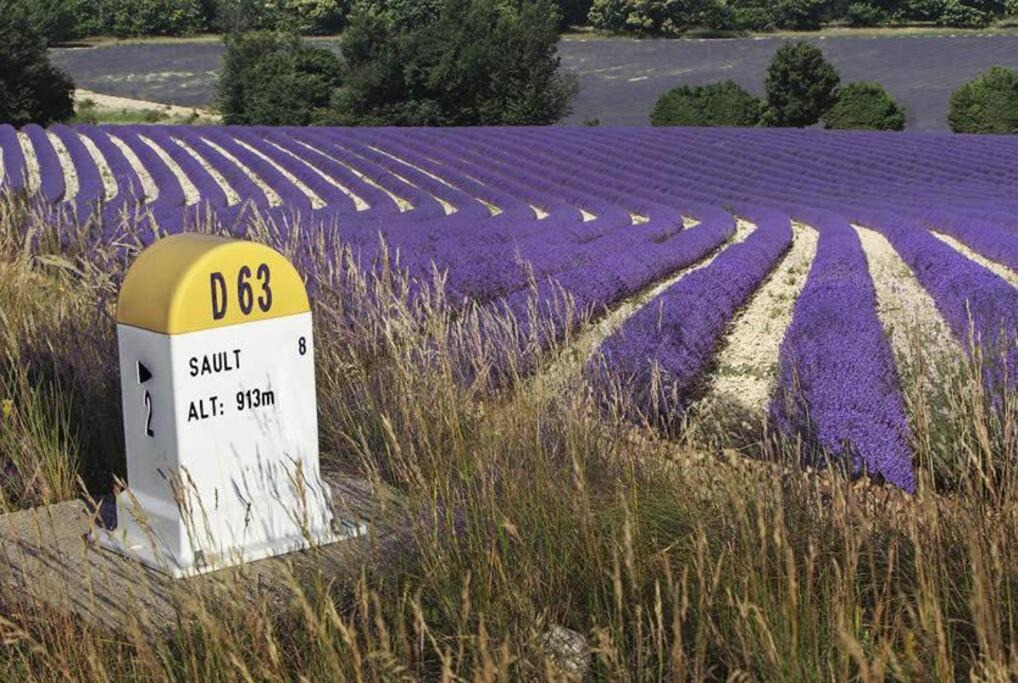 Photo of Others in Sault