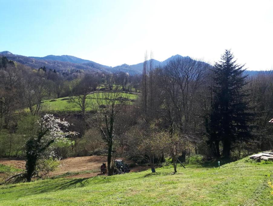 Photo of Others in Chein-Dessus