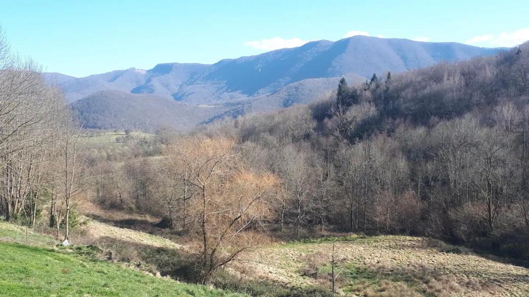 Photo of Others in Chein-Dessus