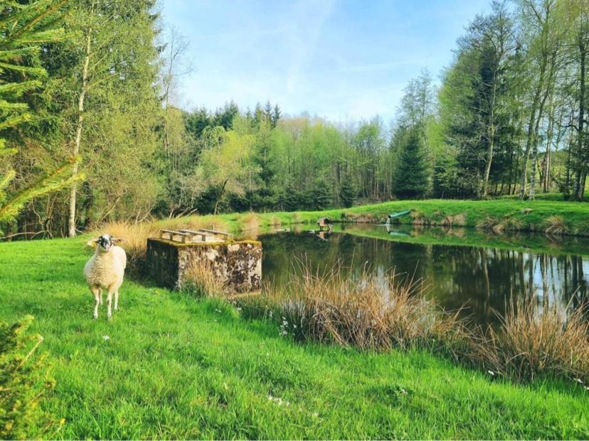 Photo of Others in Gerbepal