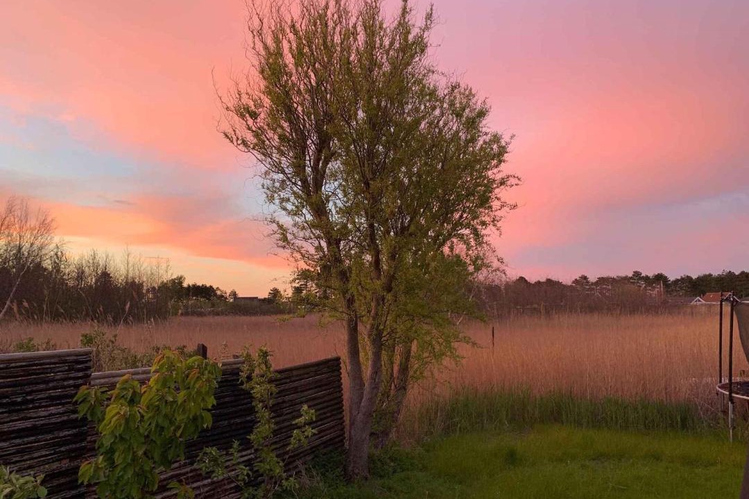 Photo of Others in Karrebksminde