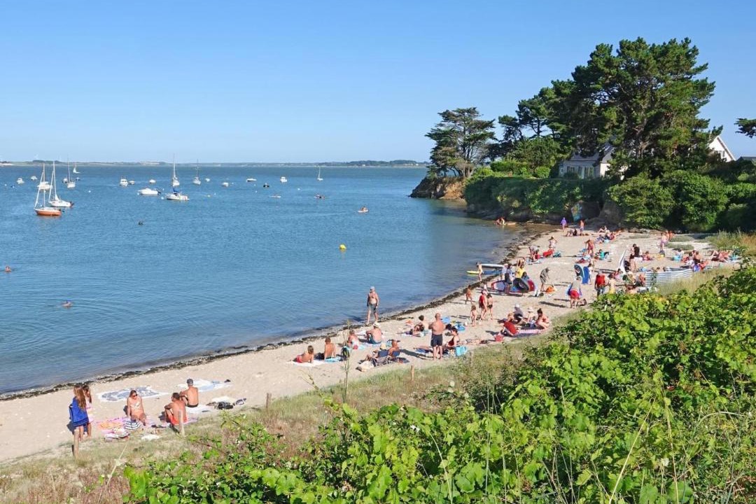 Photo of Others in Ambon