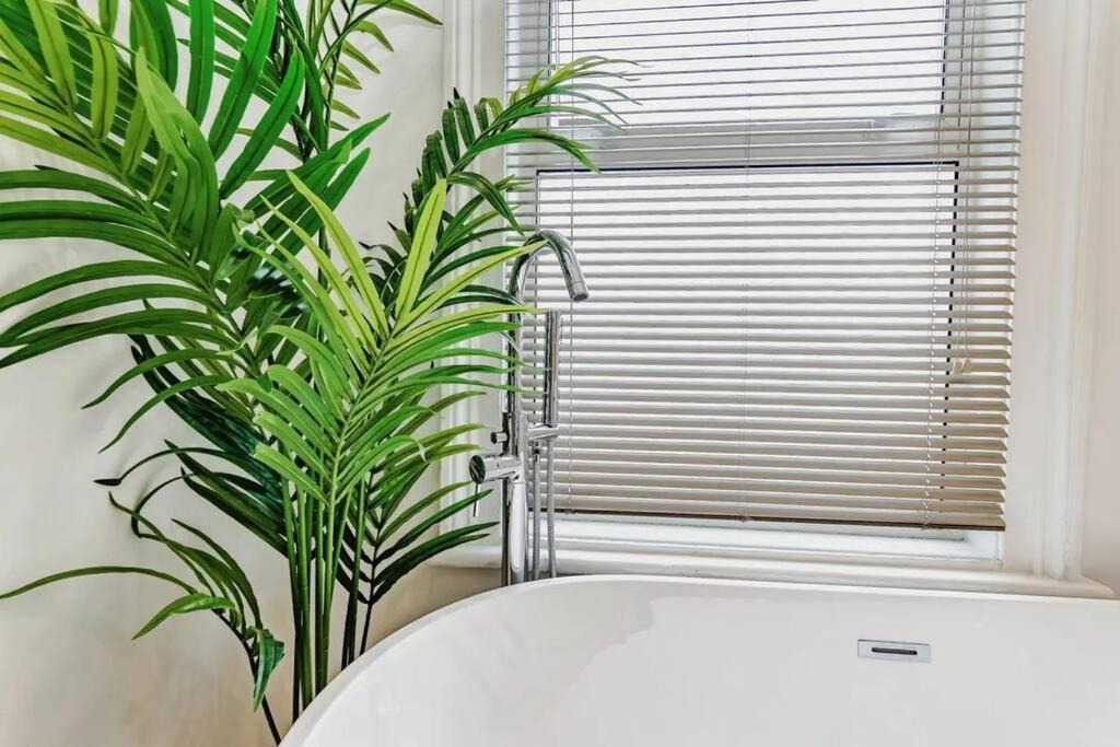 Photo of Others in Selhurst