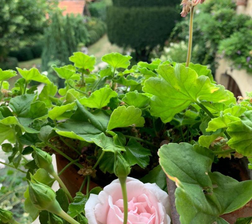 Photo of Others in Les Eyzies