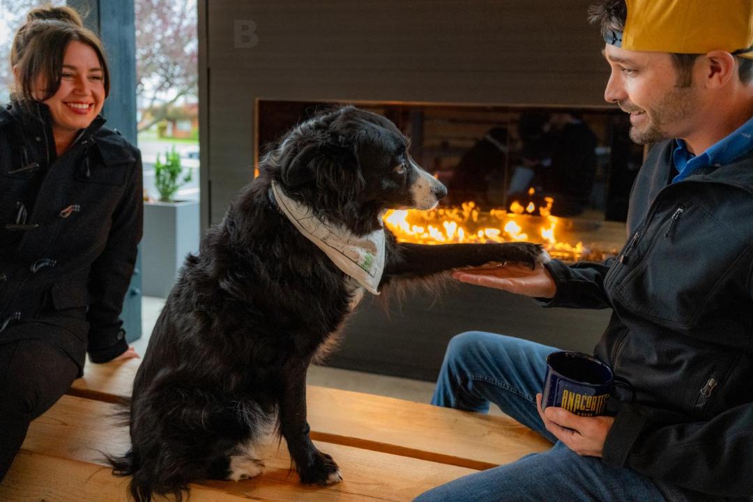 Photo of Others in Anacortes