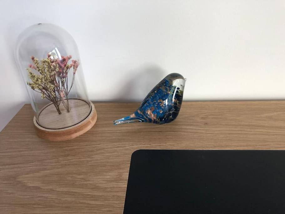 Photo of Others in Nuits-Saint-Georges