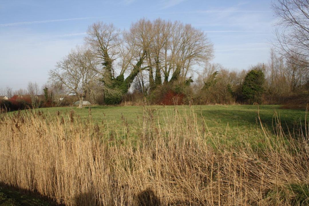 Photo of Others in Holque