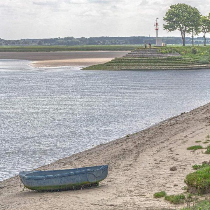 Photo of Others in Arrest