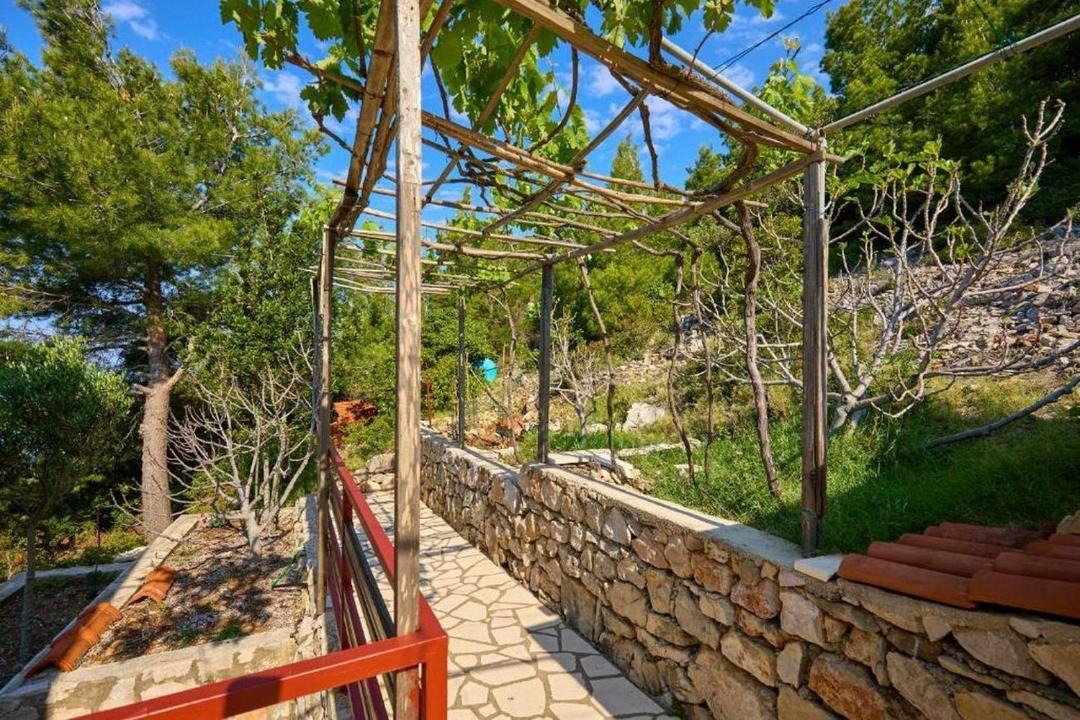 Photo of Others in Mljet