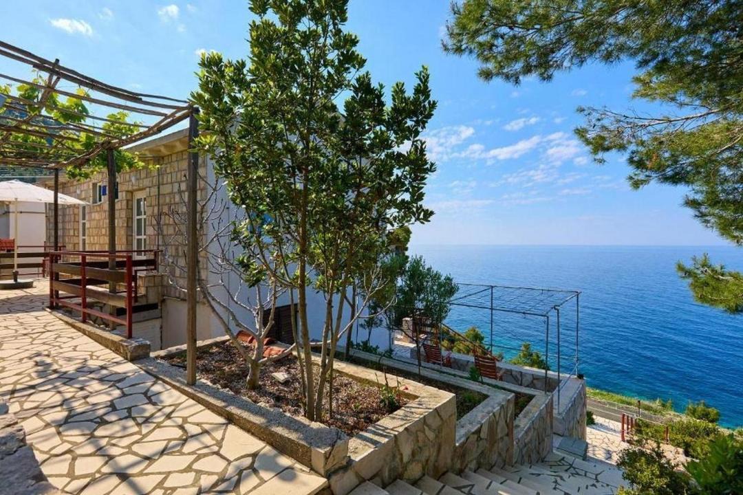 Photo of Others in Mljet