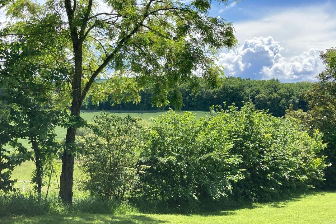 Photo of Others in Singleyrac