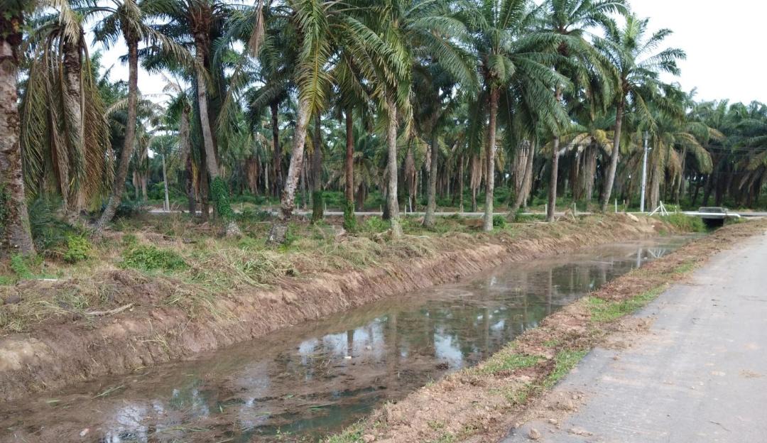 Photo of Others in Jasin