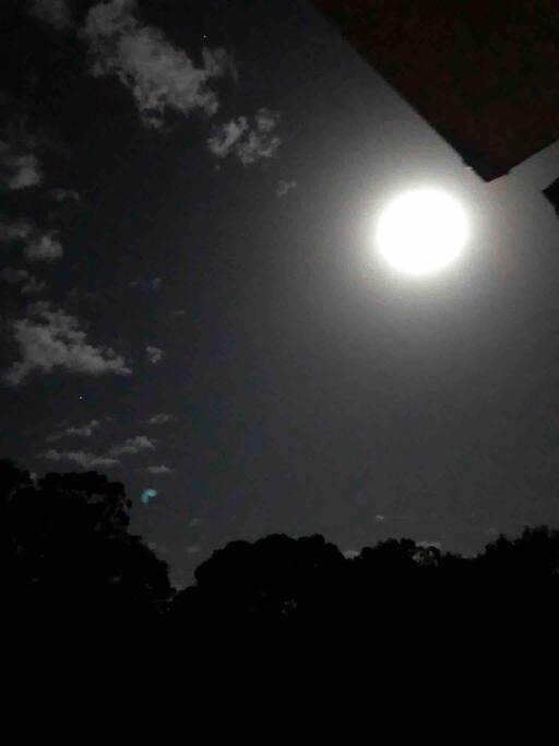 Photo of Others in Newbury