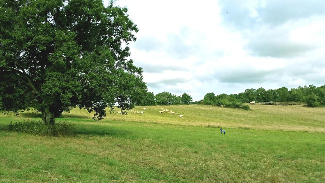 Photo of Others in Verneuil-sur-Indre