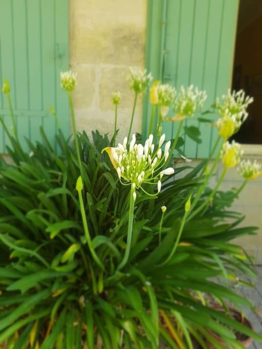 Photo of Others in Lussac