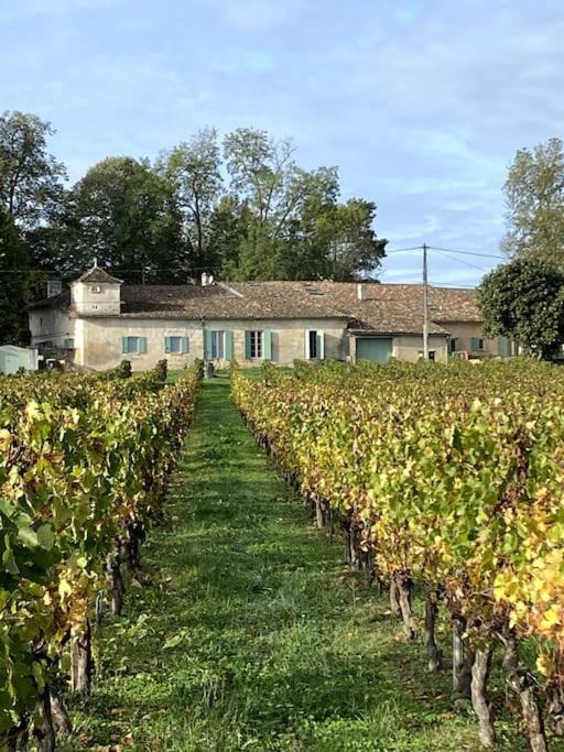 Photo of Others in Lussac