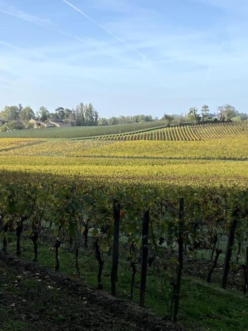 Photo of Others in Lussac