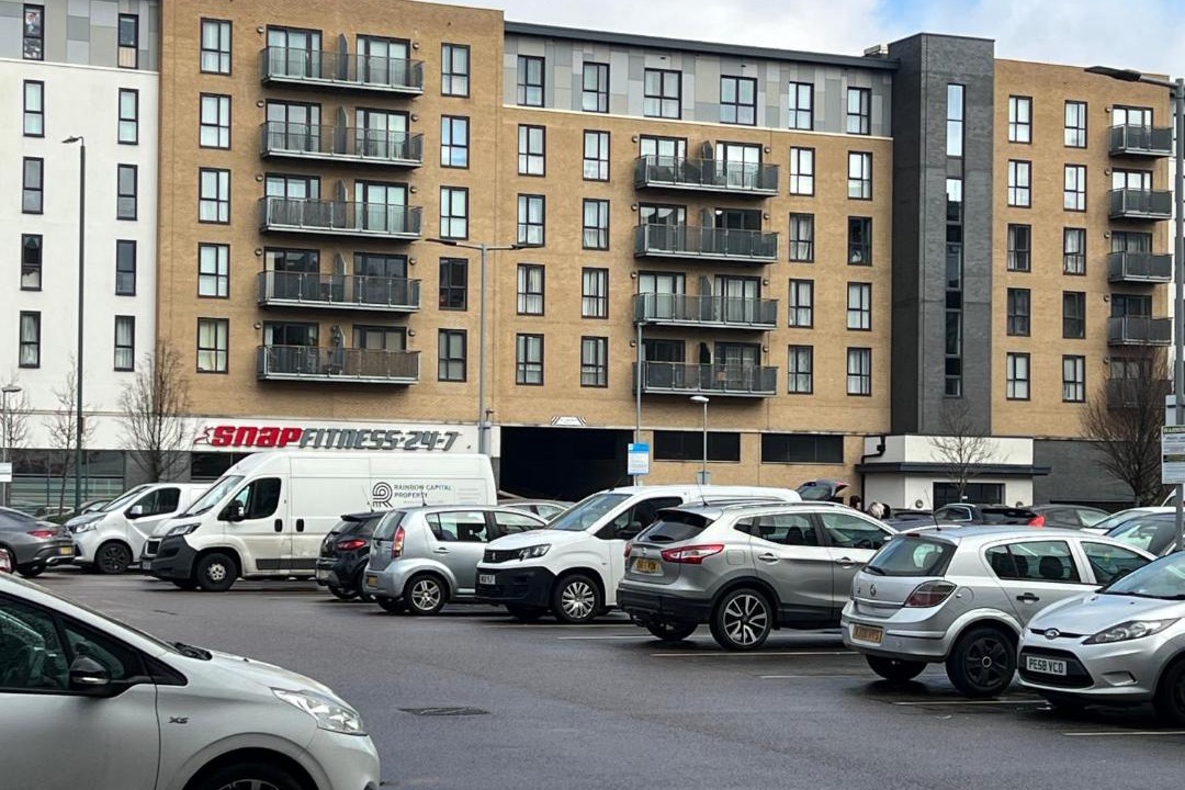 Photo of Others in Belvedere