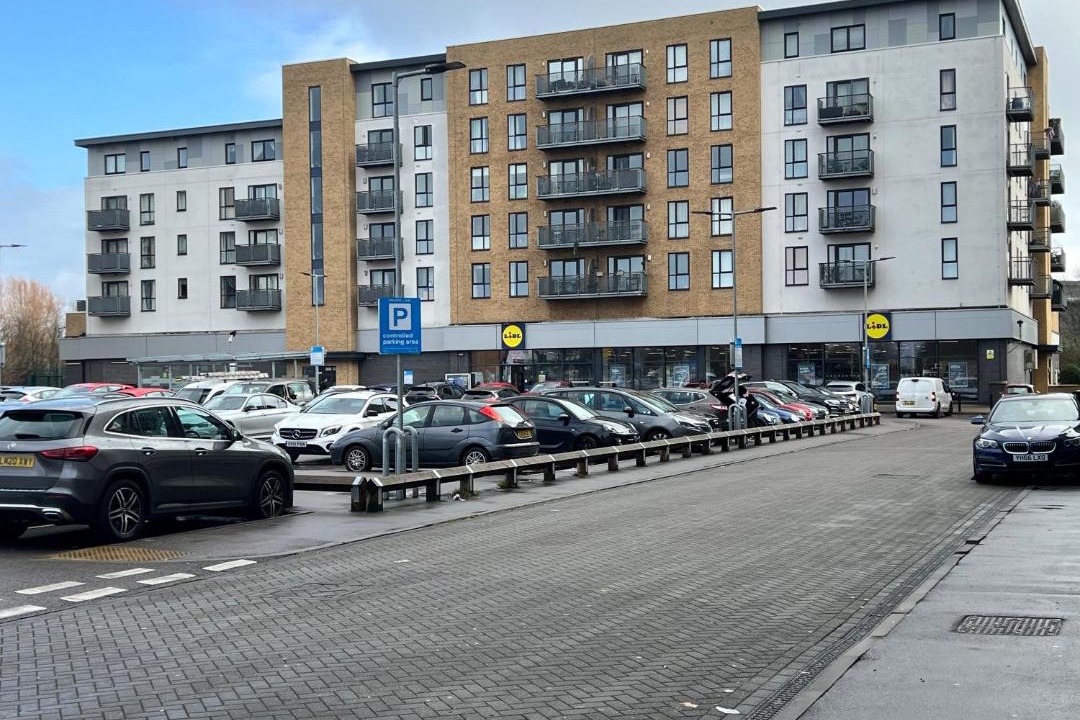 Photo of Others in Belvedere