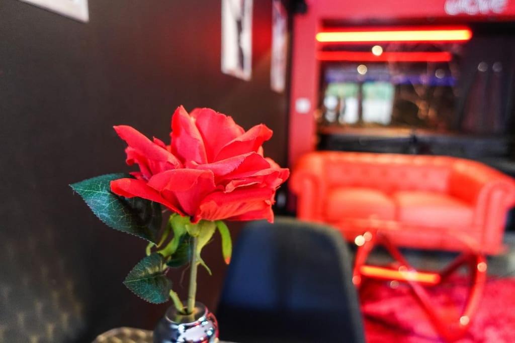 Photo of Others in Talmont-Saint-Hilaire