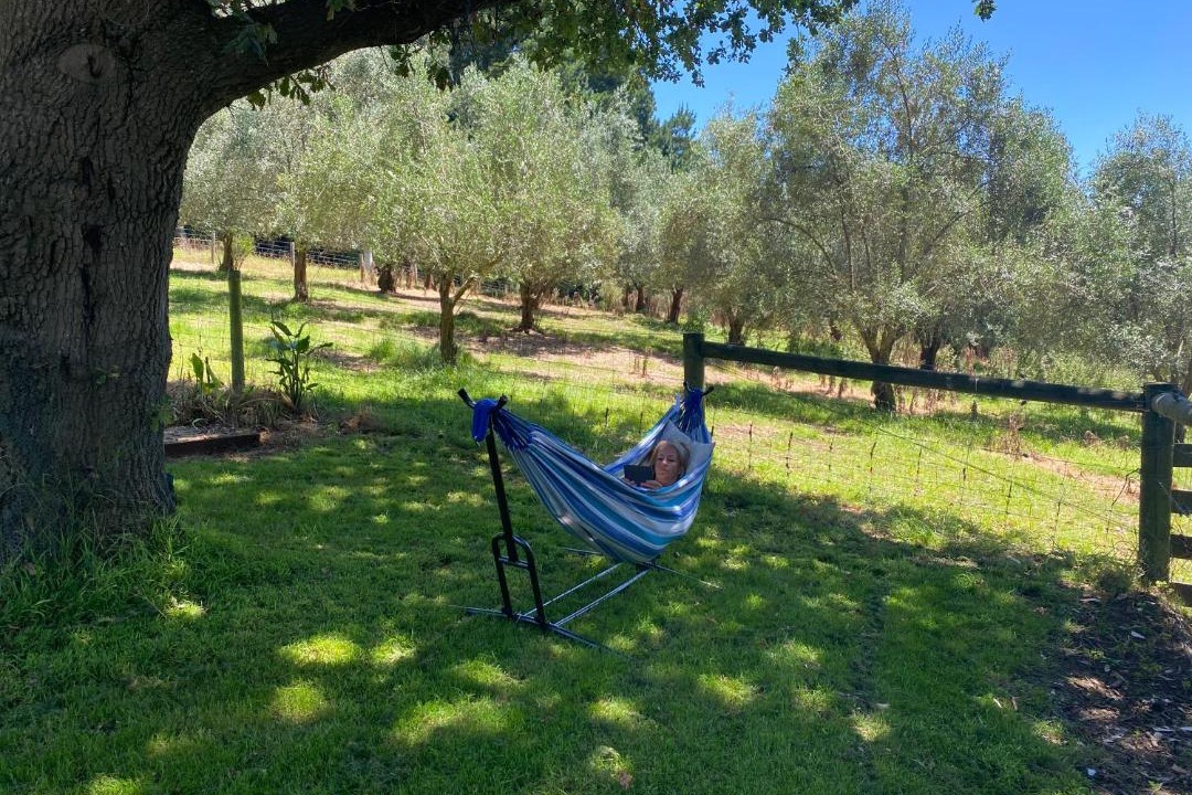 Photo of Others in Main Ridge