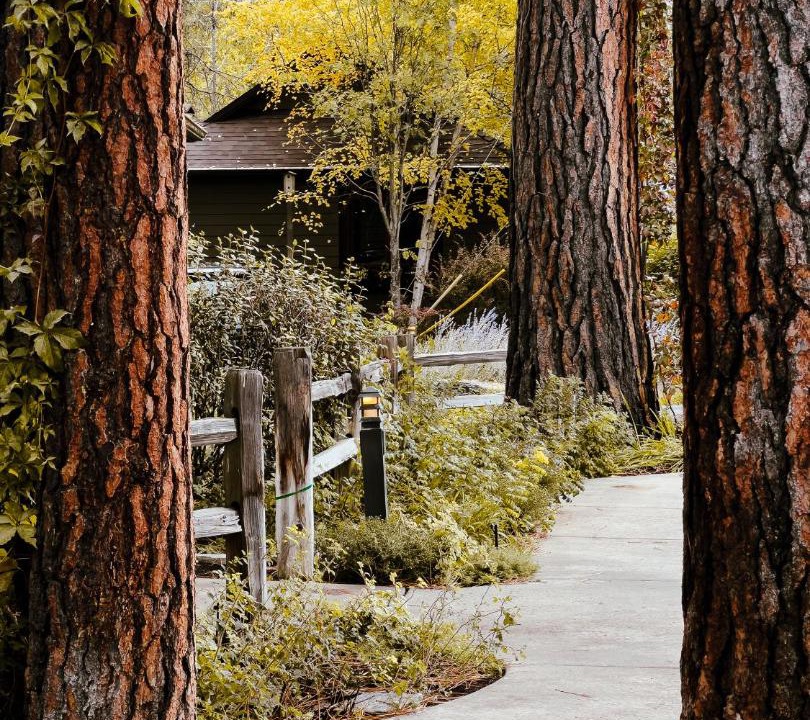 Photo of Others in Bigfork