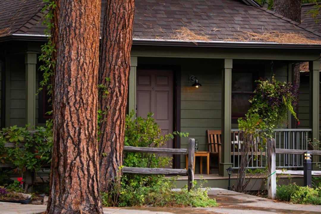 Photo of Others in Bigfork