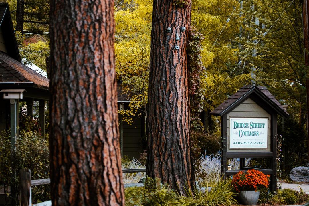 Photo of Others in Bigfork