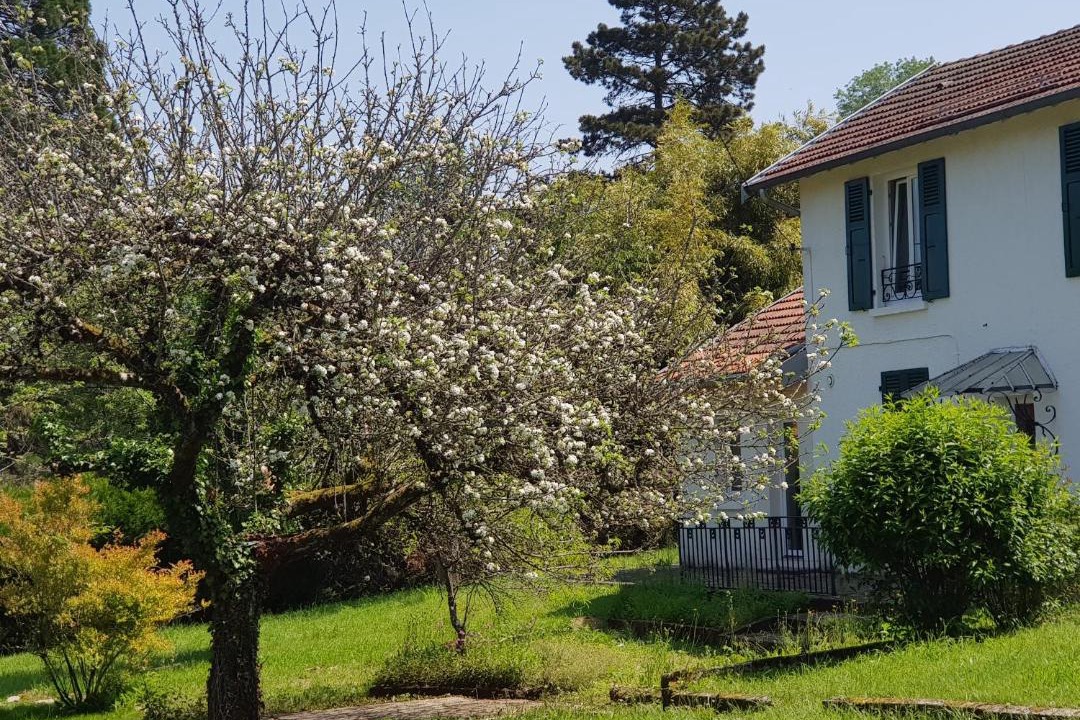 Photo of Others in Besancon