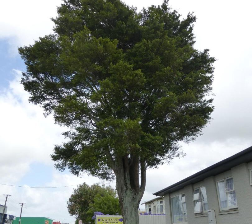 Photo of Others in Levin