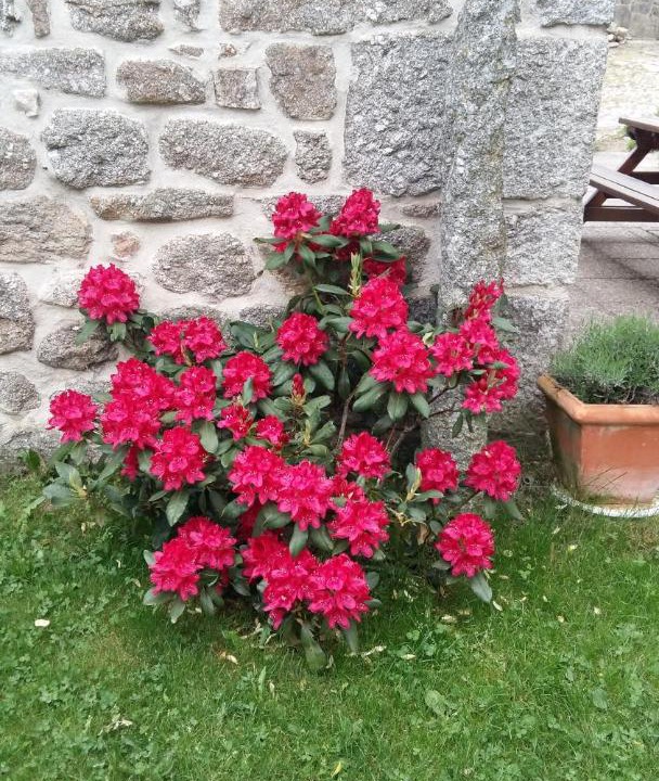 Photo of Others in Le Malzieu-Forain