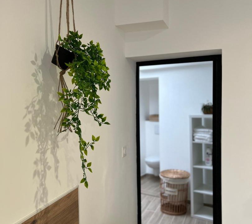 Photo of Others in Henin-Beaumont