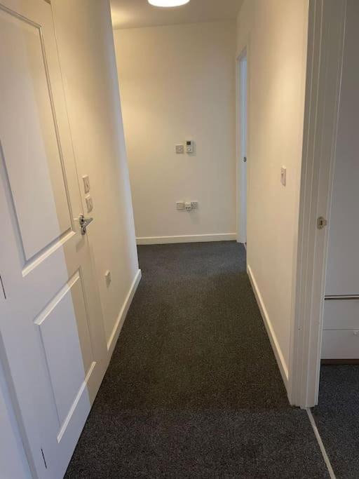 Photo of Others in Belvedere