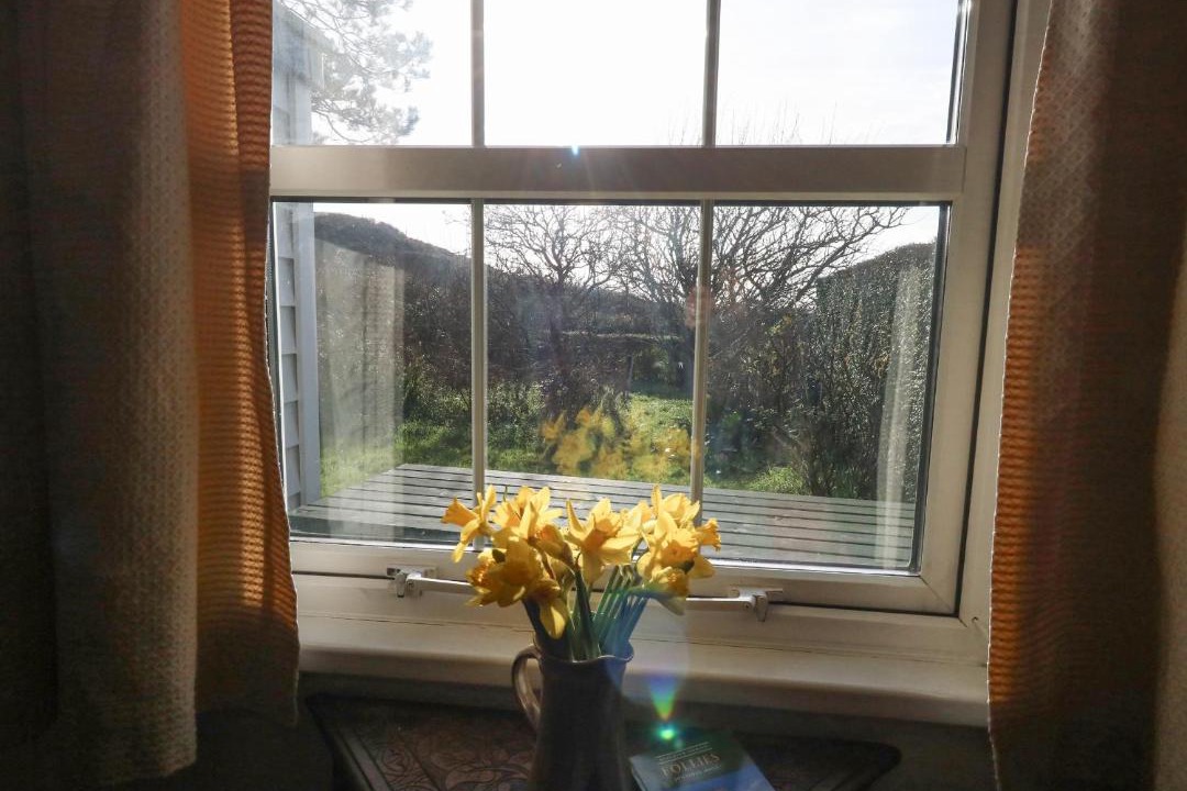 Photo of Others in Osmington Mills