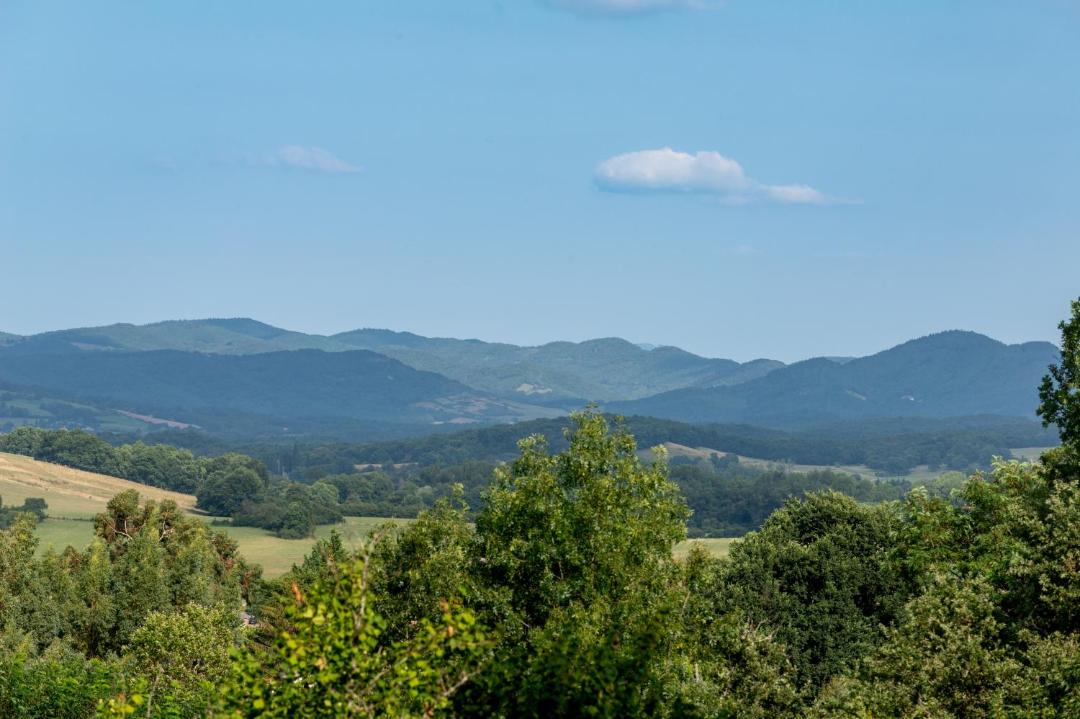 Photo of Others in Montoulieu