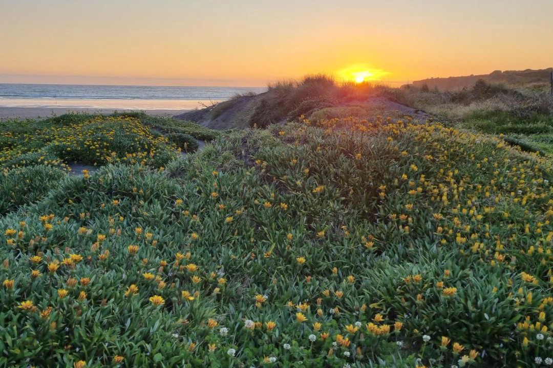 Photo of Others in Opunake