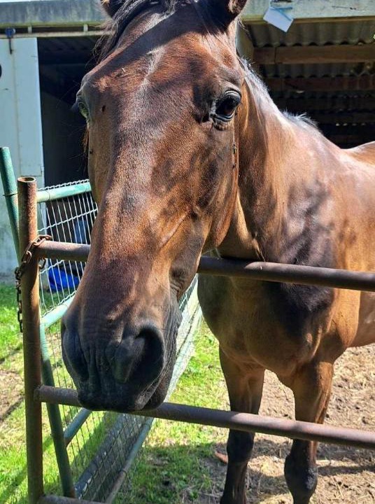 Photo of Others in Perche-en-Noce