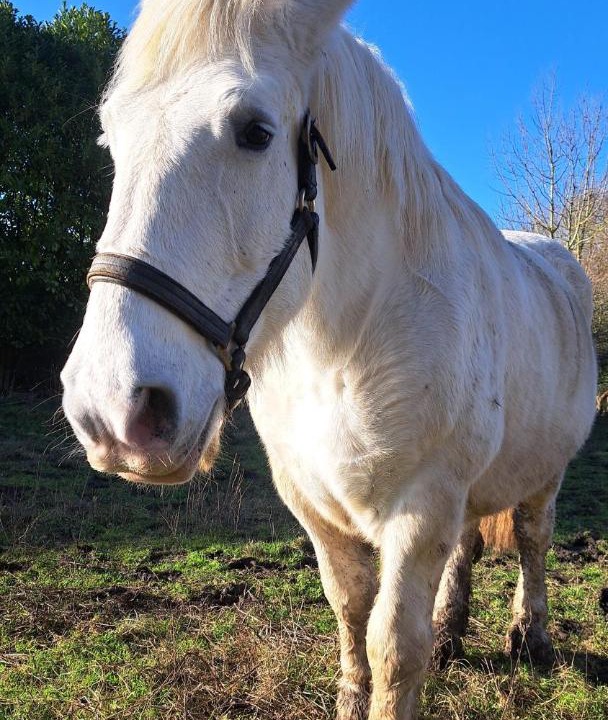 Photo of Others in Perche-en-Noce