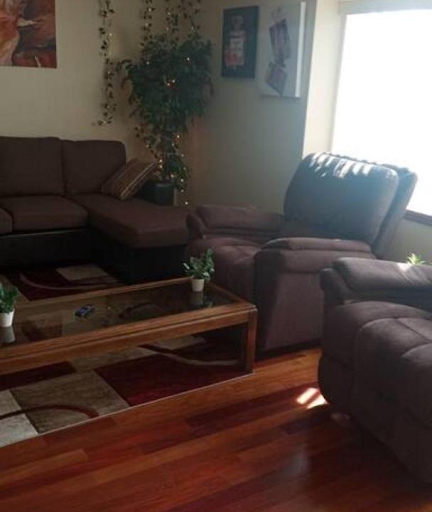 Photo of Livingroom in Niskayuna