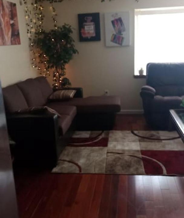 Photo of Livingroom in Niskayuna