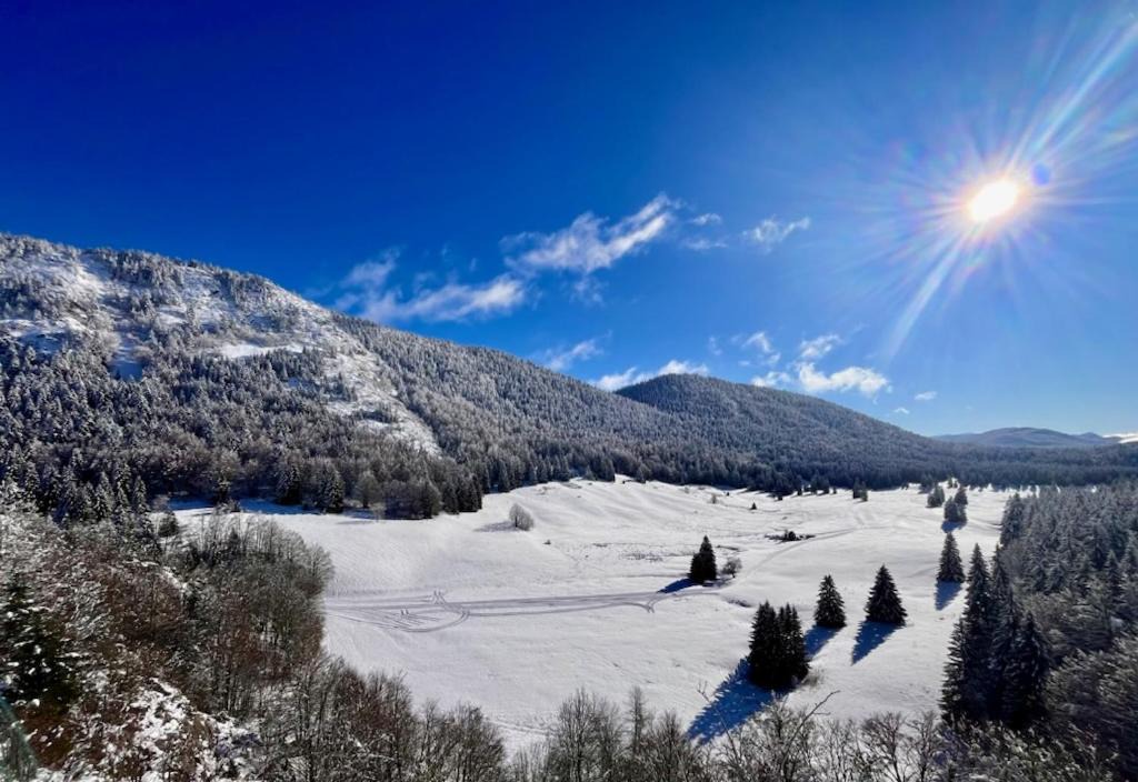 Photo of Others in Saint-Martin-en-Vercors