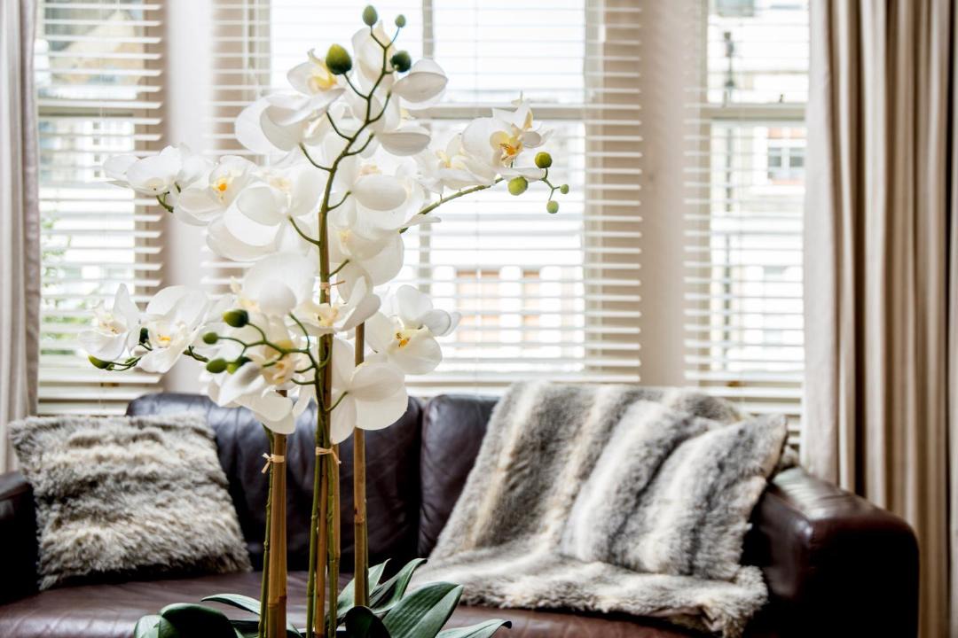 Photo of Others in Campden