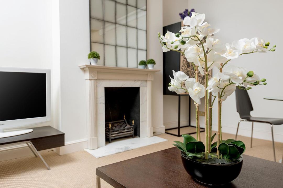 Photo of Others in Campden