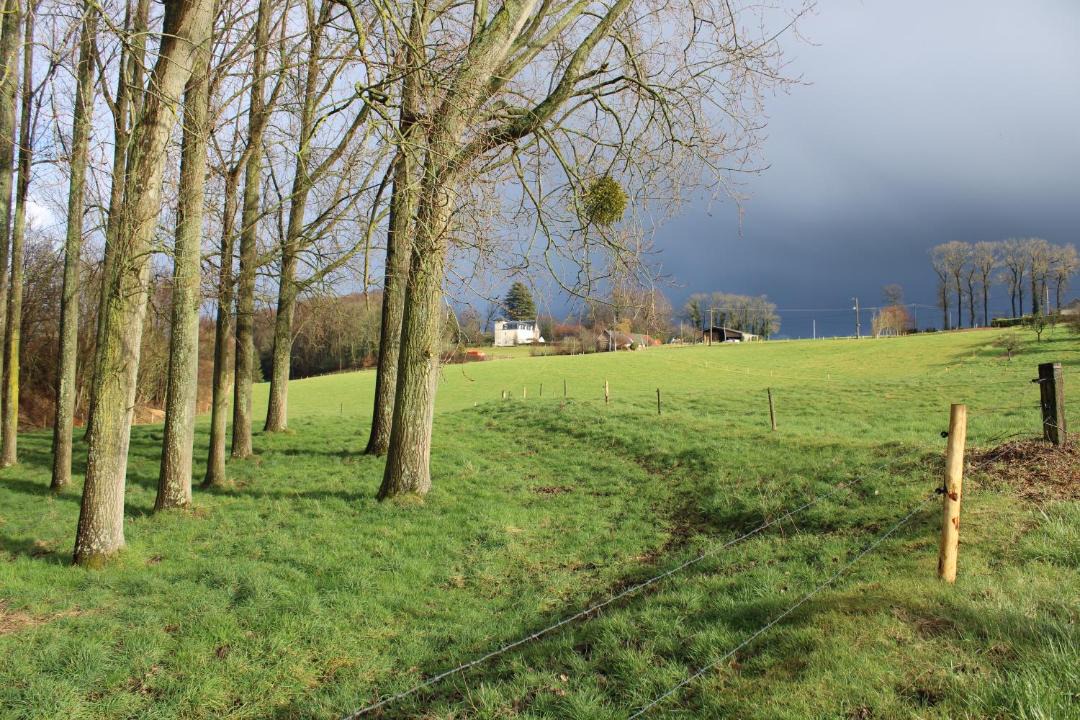 Photo of Others in Saint-Laurent-de-Brevedent