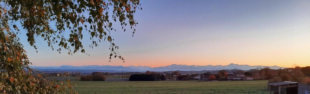 Photo of Others in Duffort