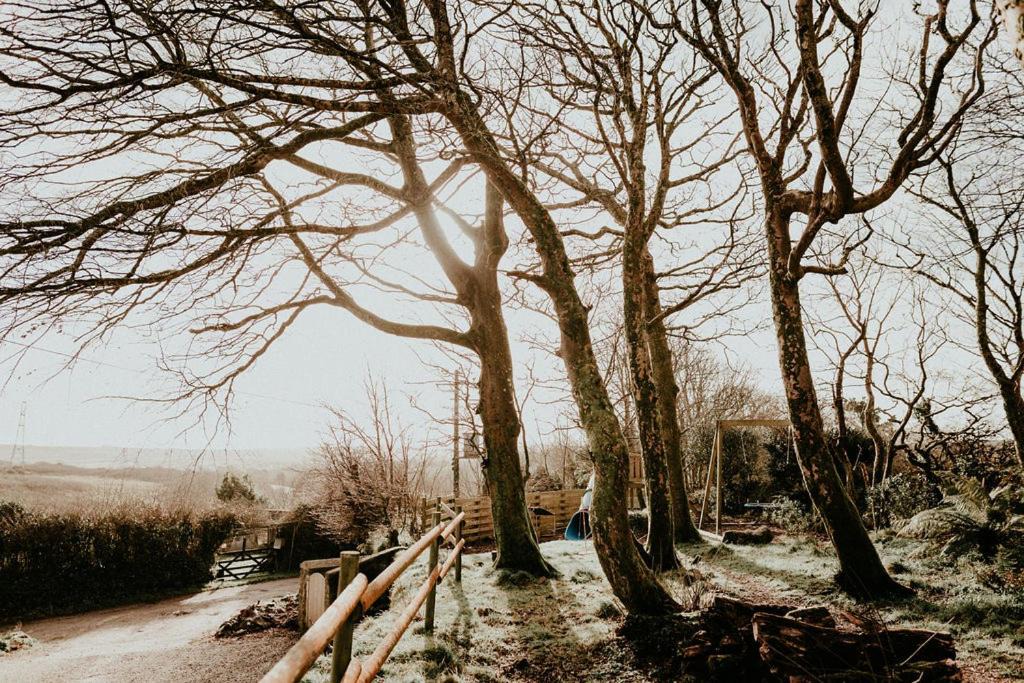 Photo of Others in Mabe