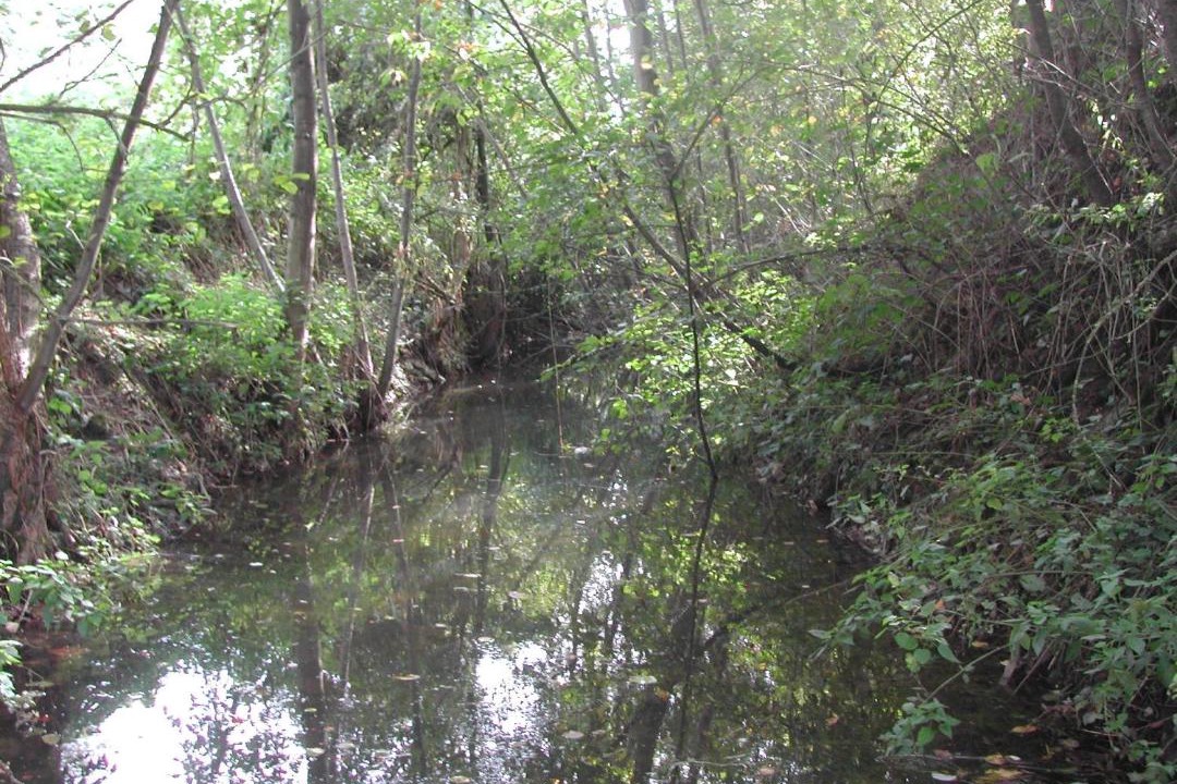 Photo of Outdoor in Ferriere-la-Petite